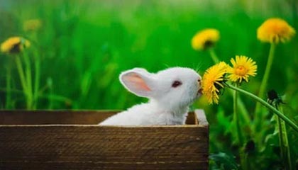 开云官方官网-乌克兰再增3例阳性 其中2人曾出战德国 勒夫惊了